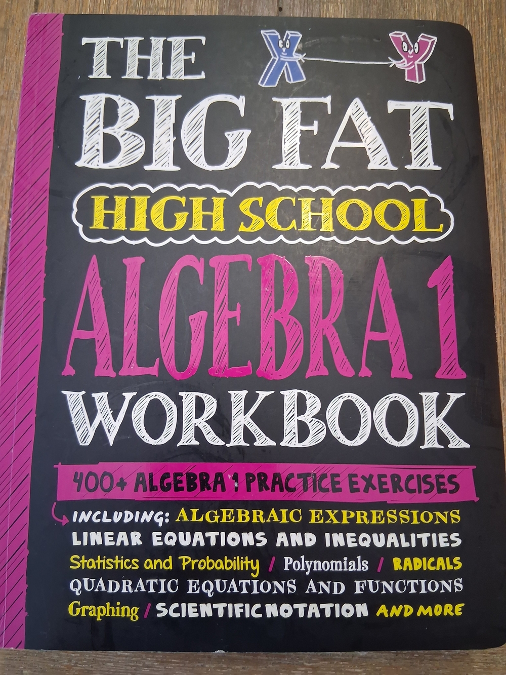 The Big Fat High School Algebra 1 Workbook - Pink/Black